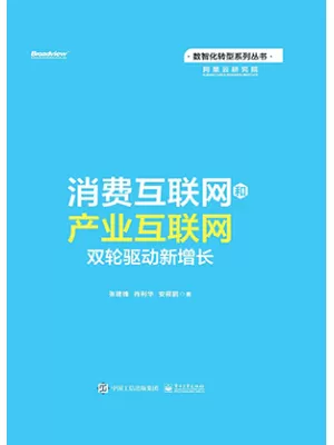 消费互联网和产业互联网：双轮驱动新增长